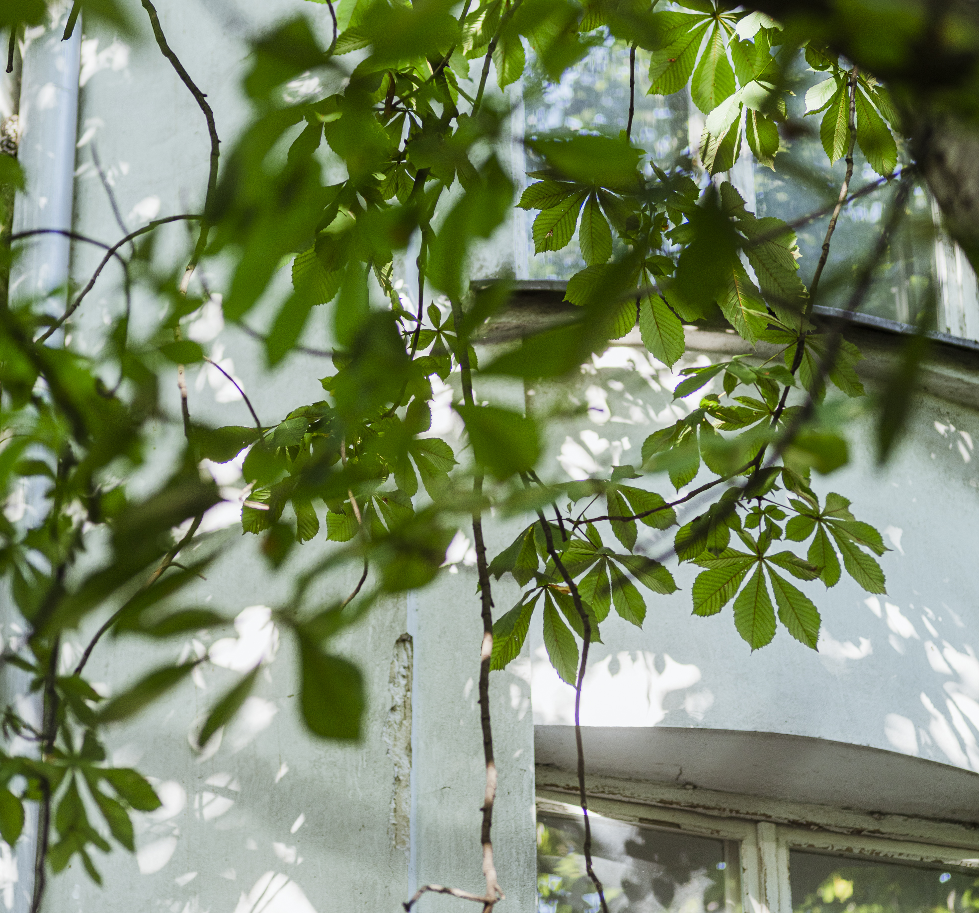 Miejsce z Widokiem by e1 Collective creative agency