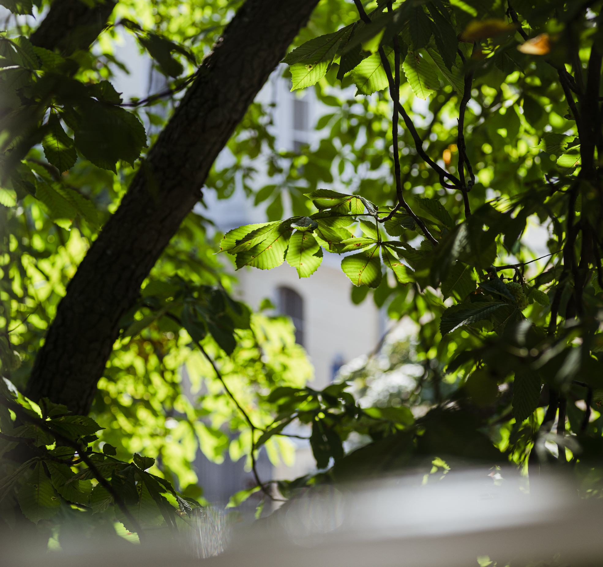 Miejsce z Widokiem by e1 Collective creative agency